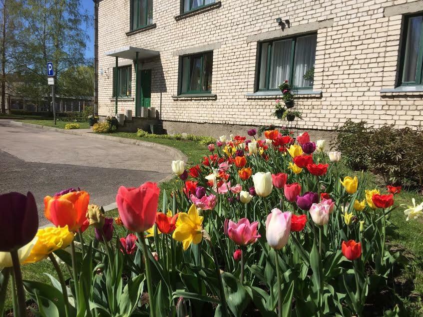 Stradnieku Viesnica Hostel Вентспилс Екстериор снимка