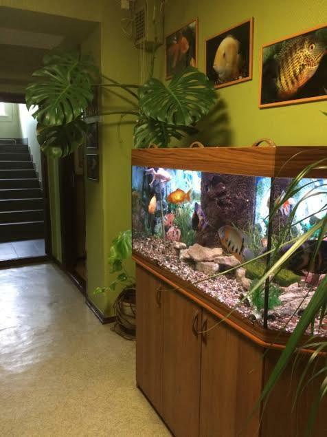 Stradnieku Viesnica Hostel Вентспилс Екстериор снимка